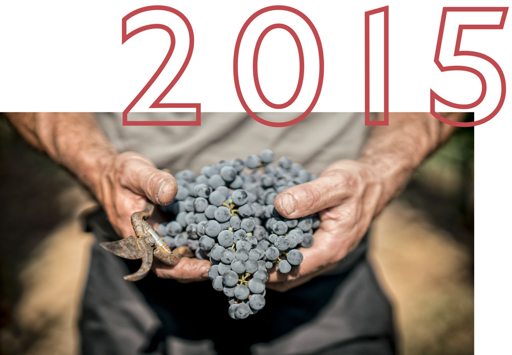 Cantina i vini di Maremma was certified organic in 2015
