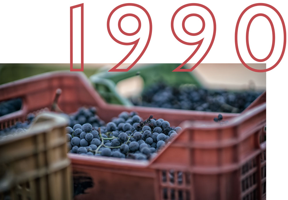 Cantina i vini di Maremma gives birth to its wine “Macchiaiolo” in 1990