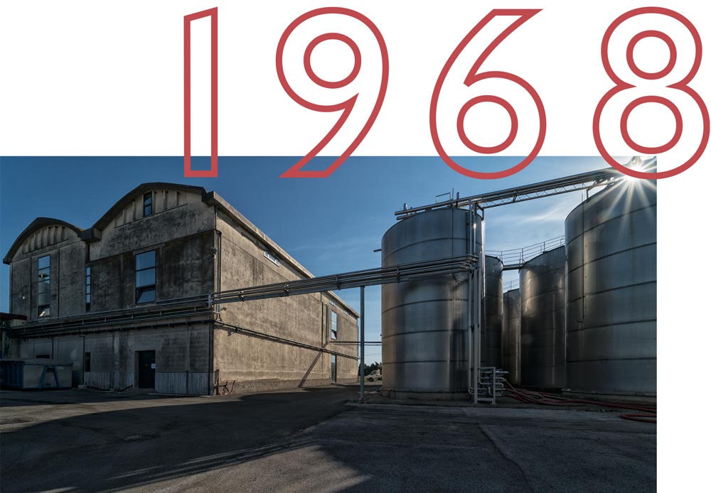 Cantina i vini di Maremma fa una ristrutturazione e modernizzazione della cantina nel 1968